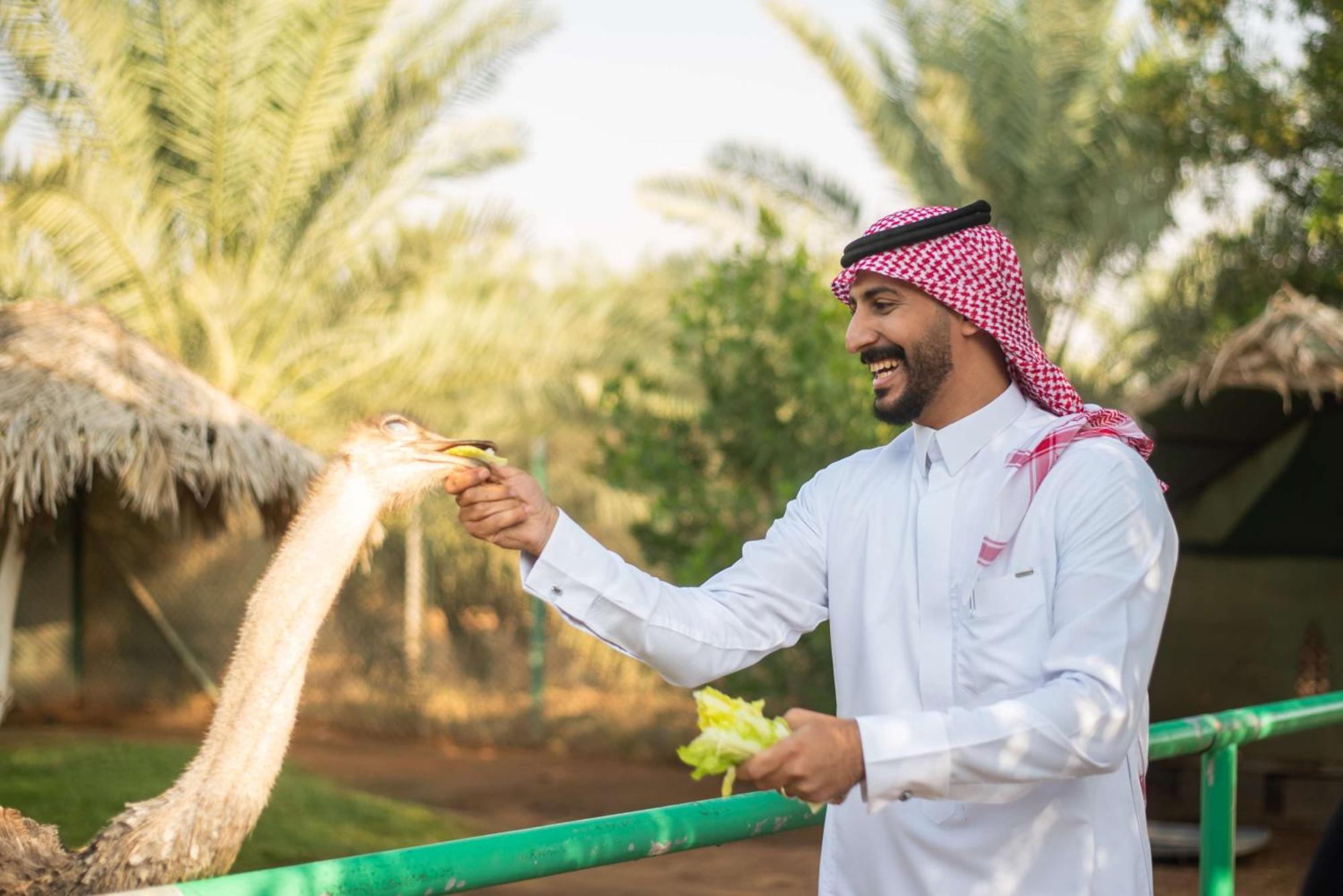 Tempat peranginan Nofa Riyadh, A Radisson Collection